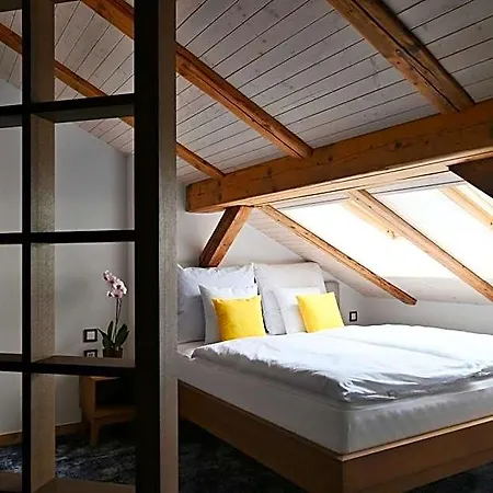 Spessart Aparthotel Chomutov